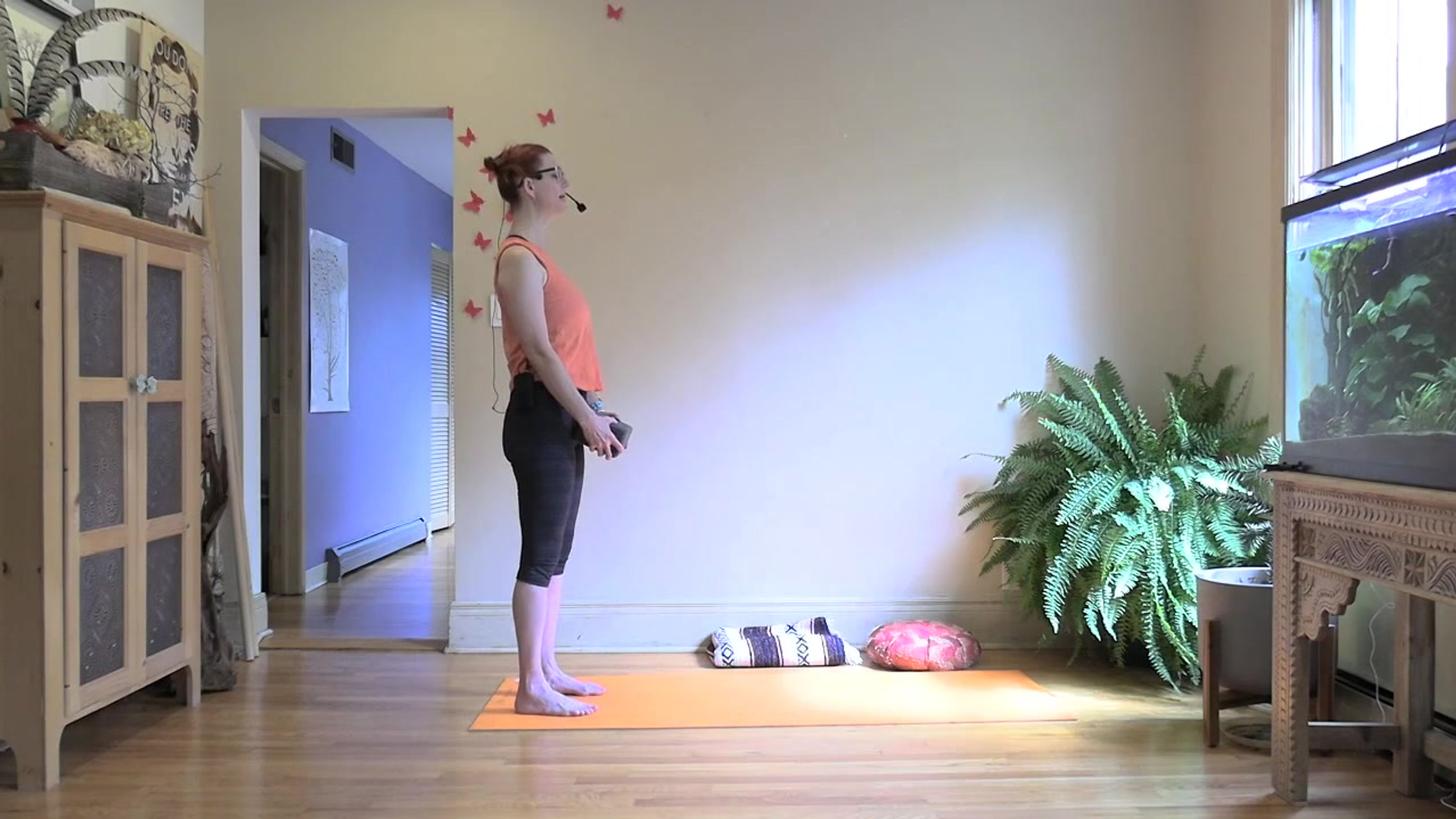 Video Library Subscription